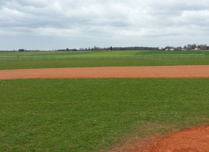 Gut sichtbar ist der Outfieldzaun geworden.